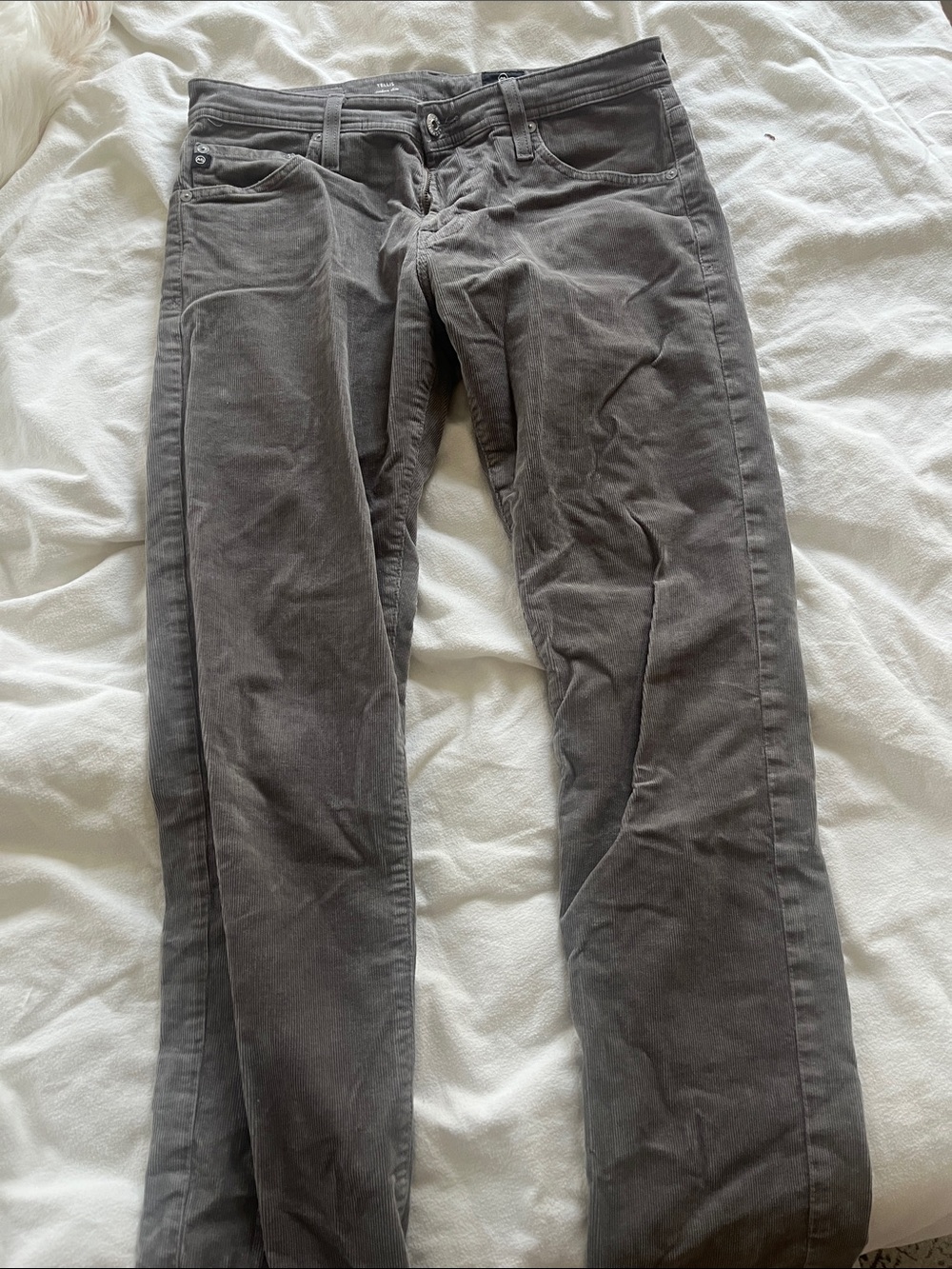 Ag Adriano Goldschmied Men's Corduroy Pants in Charcoal Gray at Tellis